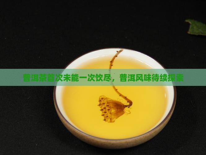 普洱茶首次未能一次饮尽，普洱风味待续探索