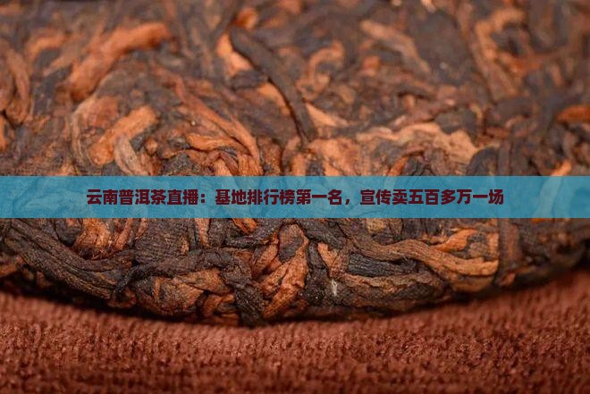 云南普洱茶直播：基地排行榜第一名，宣传卖五百多万一场