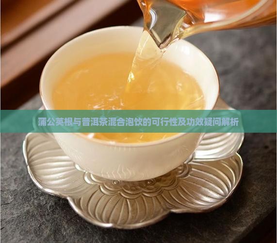 蒲公英根与普洱茶混合泡饮的可行性及功效疑问解析