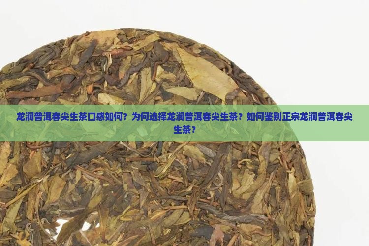 龙润普洱春尖生茶口感如何？为何选择龙润普洱春尖生茶？如何鉴别正宗龙润普洱春尖生茶？