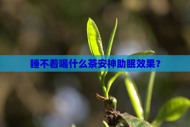 睡不着喝什么茶安神助眠效果？