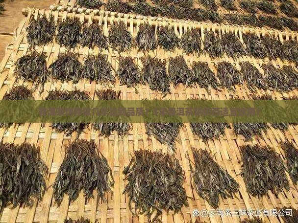 普洱茶饼存放几年达到品质？5年普洱茶饼仍否适宜饮用？