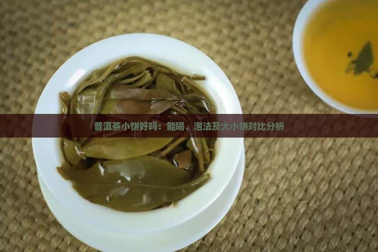 普洱茶小饼好吗：能喝、泡法及大小饼对比分析