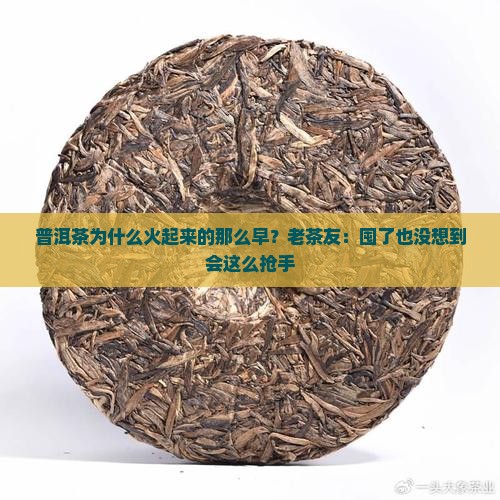 普洱茶为什么火起来的那么早？老茶友：囤了也没想到会这么抢手