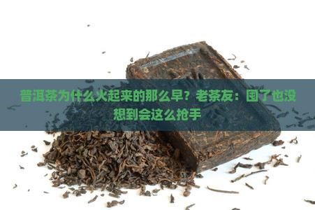普洱茶为什么火起来的那么早？老茶友：囤了也没想到会这么抢手