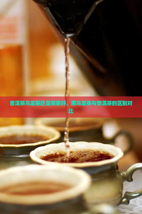 普洱茶乌龙茶还是黑茶好，黑乌龙茶与普洱茶的区别对比