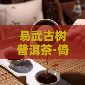 易武古树普洱茶·倚邦正山原生佳品