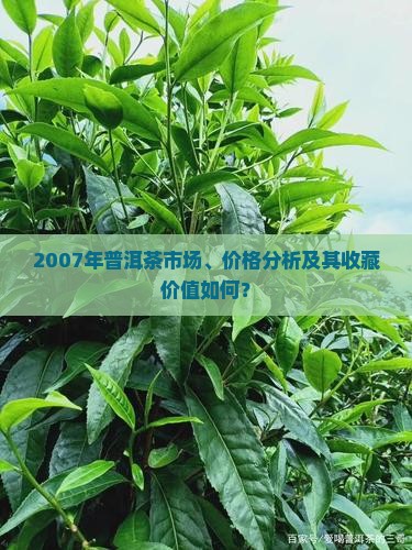 2007年普洱茶市场、价格分析及其收藏价值如何？