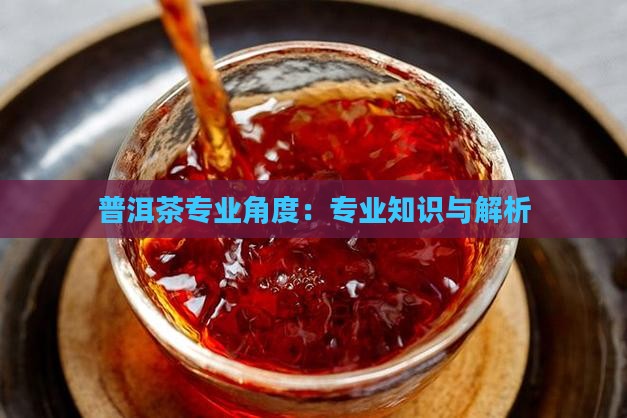 普洱茶专业角度：专业知识与解析