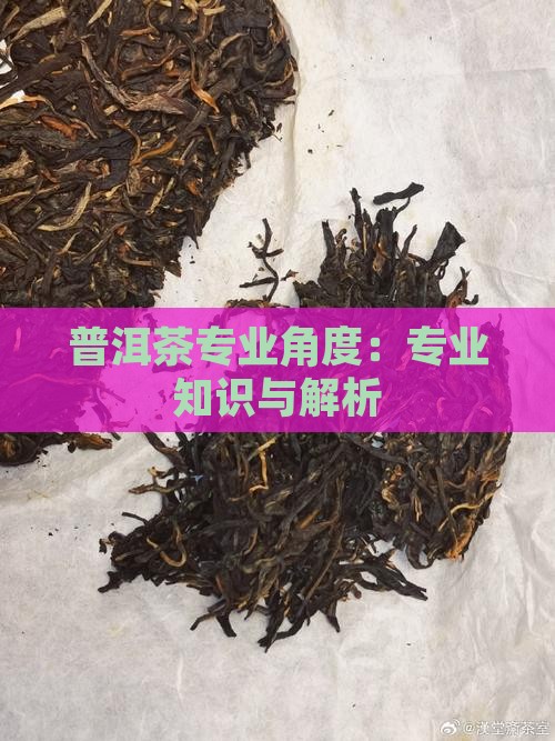 普洱茶专业角度：专业知识与解析