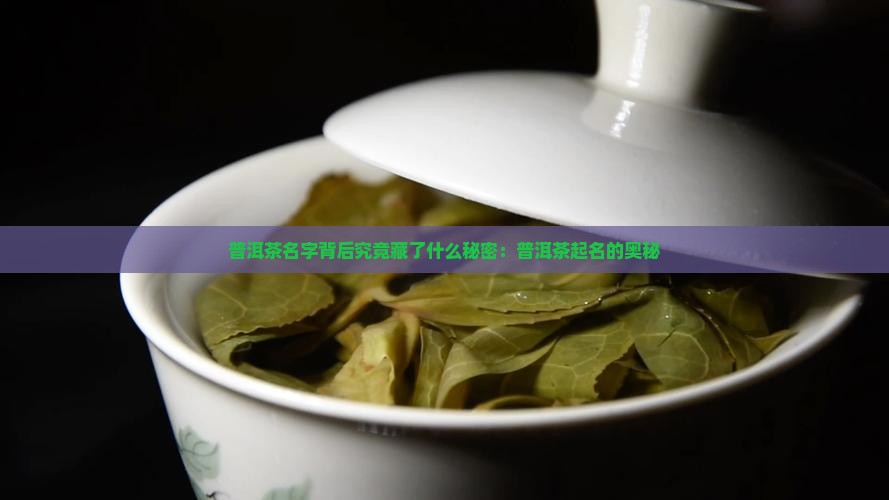 普洱茶名字背后究竟藏了什么秘密：普洱茶起名的奥秘