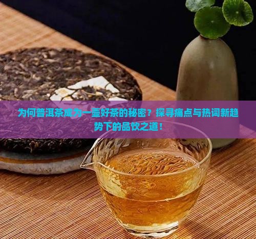 为何普洱茶成为一壶好茶的秘密？探寻痛点与热词新趋势下的品饮之道！