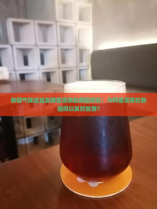 新疆气候适宜发酵普洱茶的原因探究：为何普洱茶在新疆得以良好发酵？