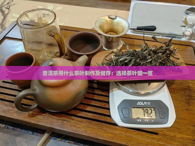 普洱茶用什么茶叶制作及储存：选择茶叶罐一览
