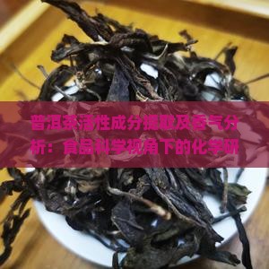 普洱茶活性成分提取及香气分析：食品科学视角下的化学研究