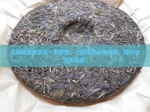 云海腾龙普洱茶？熬夜党、上班族的必备神器，提升生活幸福感！