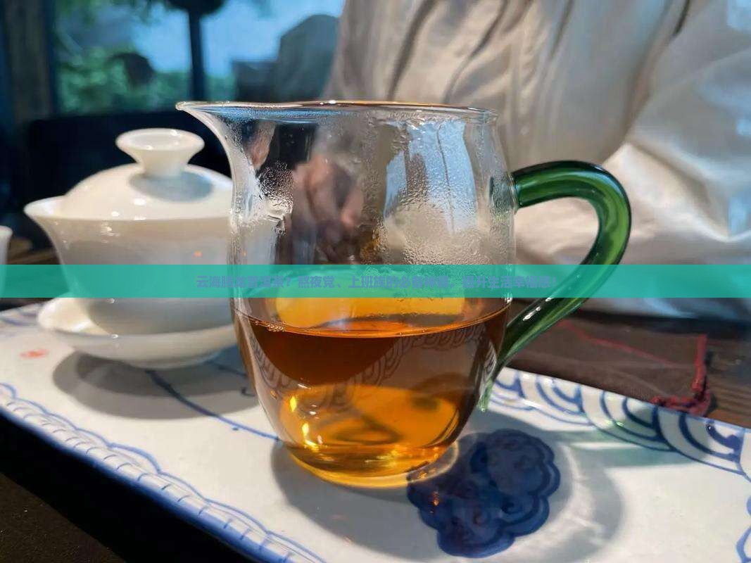 云海腾龙普洱茶？熬夜党、上班族的必备神器，提升生活幸福感！