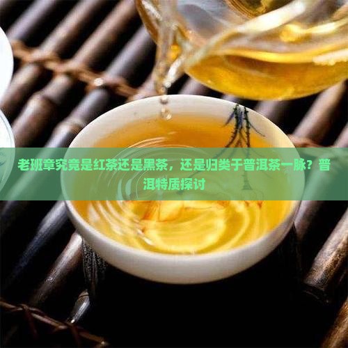 老班章究竟是红茶还是黑茶，还是归类于普洱茶一脉？普洱特质探讨