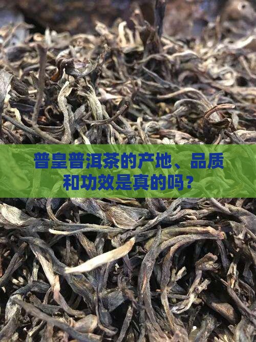 普皇普洱茶的产地、品质和功效是真的吗？