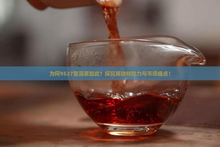 为何9527普洱茶如此？探究其独特魅力与市场痛点！