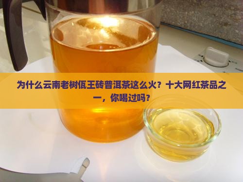为什么云南老树佤王砖普洱茶这么火？十大网红茶品之一，你喝过吗？