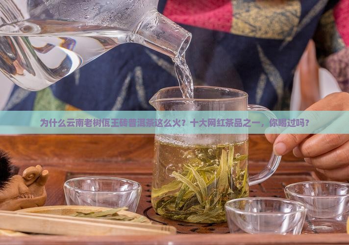 为什么云南老树佤王砖普洱茶这么火？十大网红茶品之一，你喝过吗？
