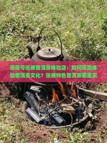 语辰号张掖普洱茶体验店：如何深度体验普洱茶文化？张掖特色普洱茶哪里买？普洱茶品鉴攻略指南