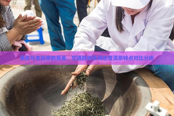 易武与老班章的距离、交通路线及两地普洱茶特点对比分析