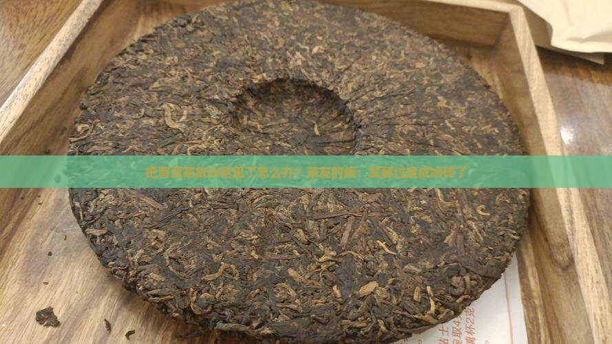 把普洱茶放冰箱里了怎么办？茶友的痛：发酵过度成冰砖了
