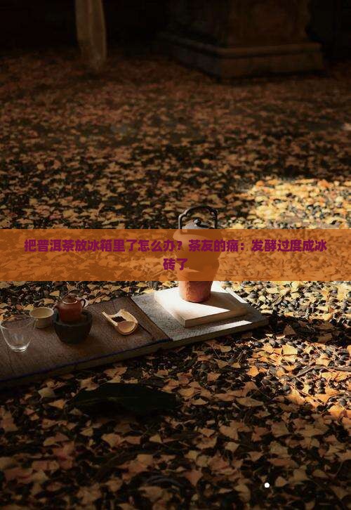 把普洱茶放冰箱里了怎么办？茶友的痛：发酵过度成冰砖了