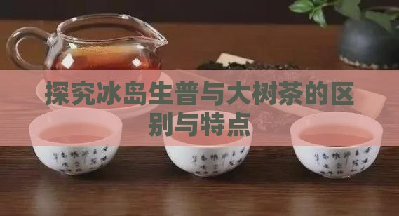 探究冰岛生普与大树茶的区别与特点