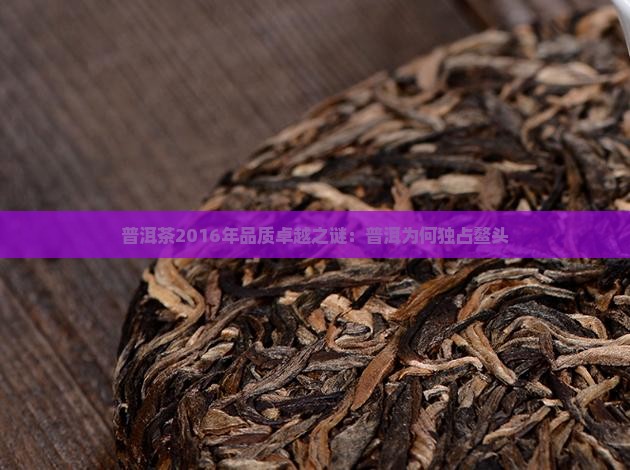 普洱茶2016年品质卓越之谜：普洱为何独占鳌头