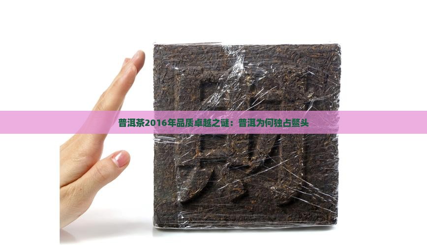 普洱茶2016年品质卓越之谜：普洱为何独占鳌头