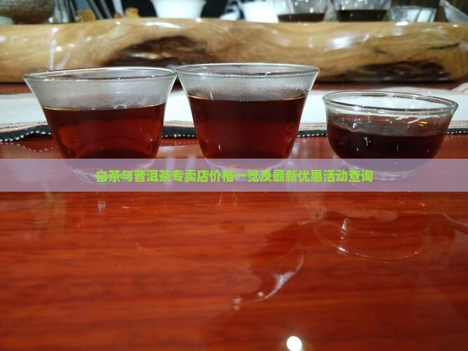 白茶与普洱茶专卖店价格一览及最新优惠活动查询