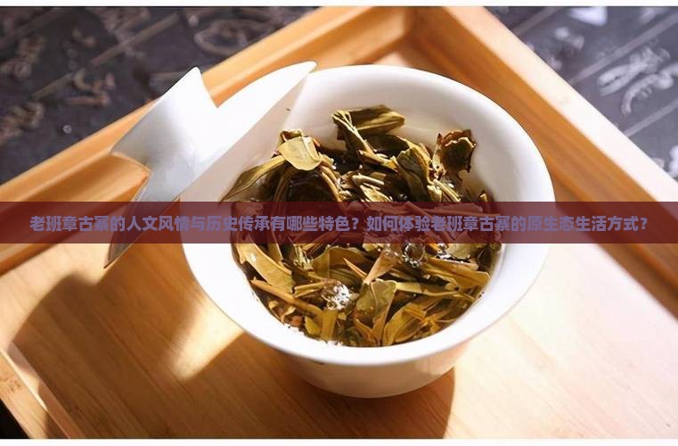 老班章古寨的人文风情与历史传承有哪些特色？如何体验老班章古寨的原生态生活方式？