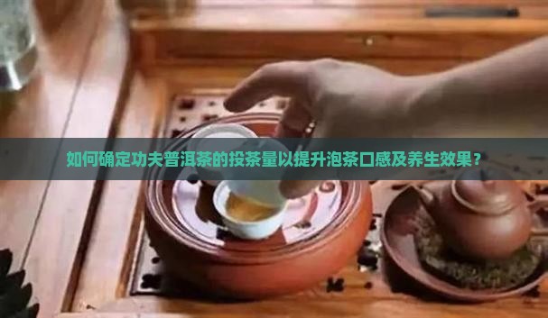 如何确定功夫普洱茶的投茶量以提升泡茶口感及养生效果？