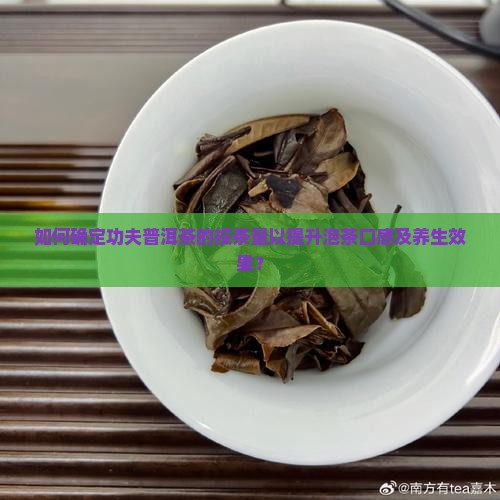 如何确定功夫普洱茶的投茶量以提升泡茶口感及养生效果？