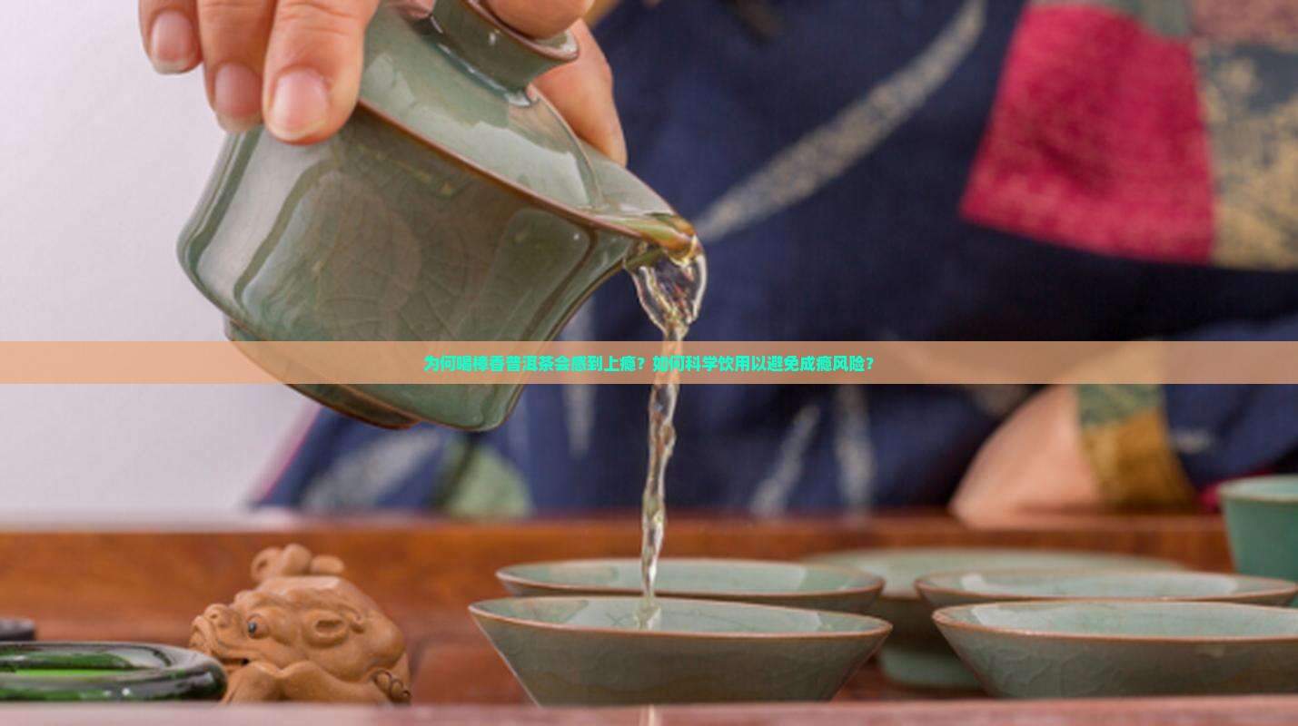 为何喝樟香普洱茶会感到上瘾？如何科学饮用以避免成瘾风险？