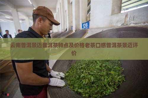 云南普洱景迈普洱茶特点及价格老茶口感普洱茶景迈评价