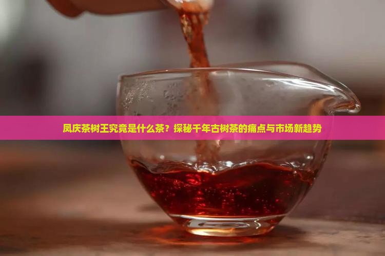 凤庆茶树王究竟是什么茶？探秘千年古树茶的痛点与市场新趋势