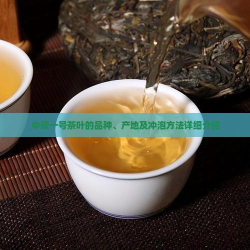 中原一号茶叶的品种、产地及冲泡方法详细介绍