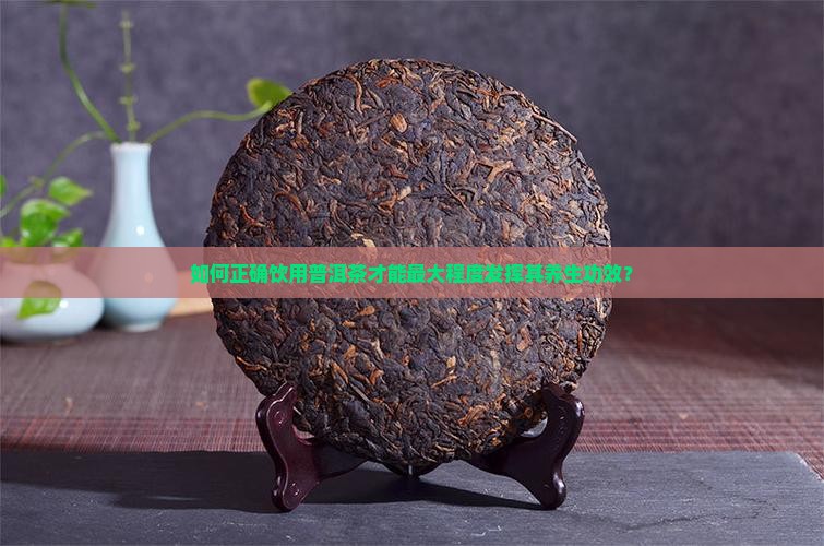 如何正确饮用普洱茶才能最大程度发挥其养生功效？