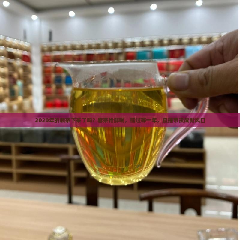 2020年的新茶下来了吗？春茶抢鲜喝，错过等一年，直播带货成新风口
