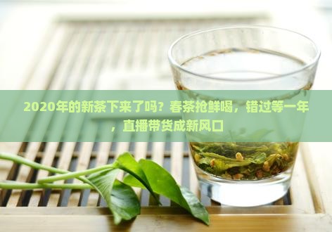 2020年的新茶下来了吗？春茶抢鲜喝，错过等一年，直播带货成新风口