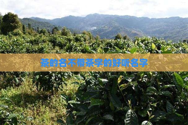 茶的名不带茶字的好听名字