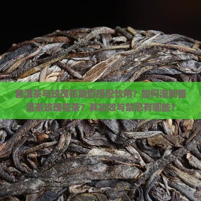 普洱茶与玫瑰花能否搭配饮用？如何泡制普洱茶玫瑰花茶？其功效与禁忌有哪些？