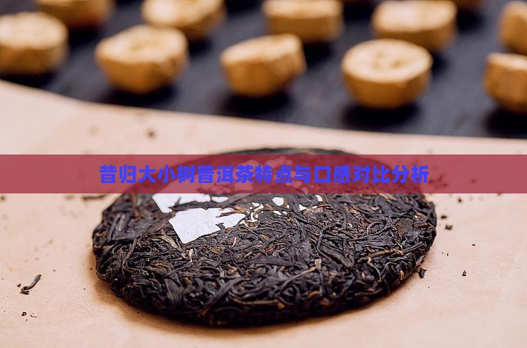 昔归大小树普洱茶特点与口感对比分析