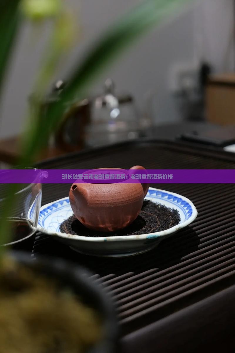 班长独爱云南老班章普洱茶：老班章普洱茶价格