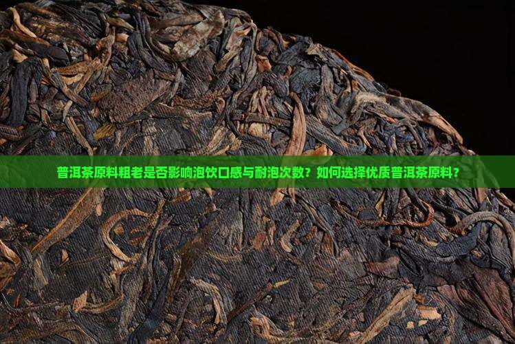 普洱茶原料粗老是否影响泡饮口感与耐泡次数？如何选择优质普洱茶原料？