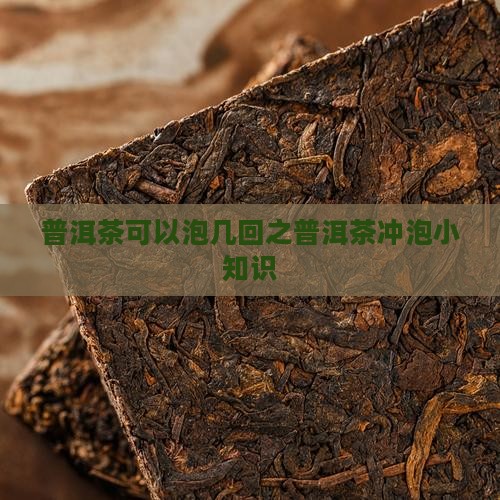 普洱茶可以泡几回之普洱茶冲泡小知识